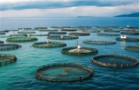 2024美容仪器行业市场消费需求与未来趋势(图4)