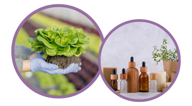 9月大阪美容化妆品展会报名领取入场券……(图2)