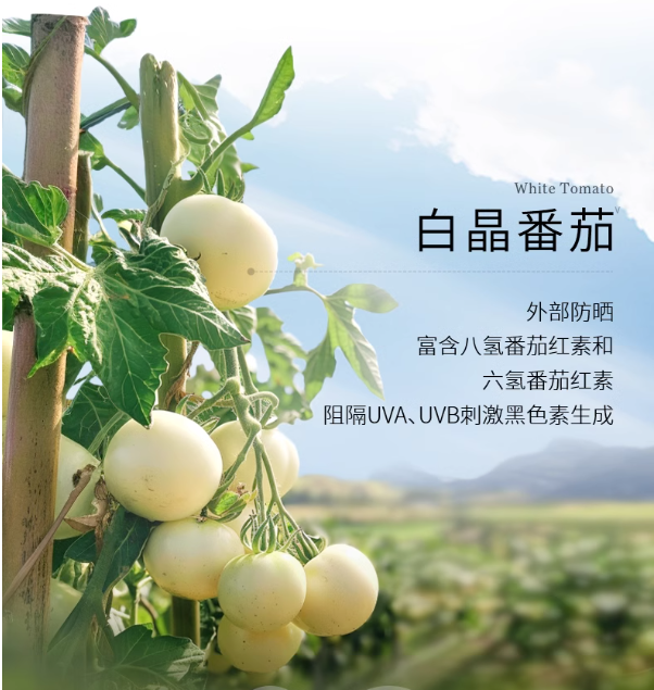 九游娱乐：揭秘!美白成分大起底Tracel萃斯让你白到发光(图3)