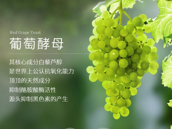 九游娱乐：揭秘!美白成分大起底Tracel萃斯让你白到发光(图4)