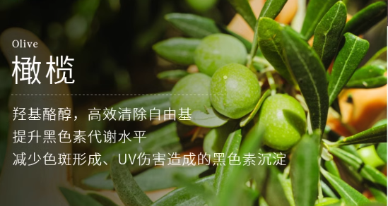 九游娱乐：揭秘!美白成分大起底Tracel萃斯让你白到发光(图7)