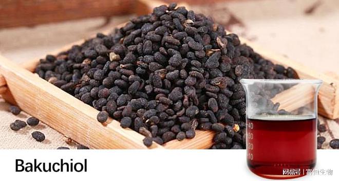 九游娱乐：补骨脂酚助推抗衰新活力富恒生物