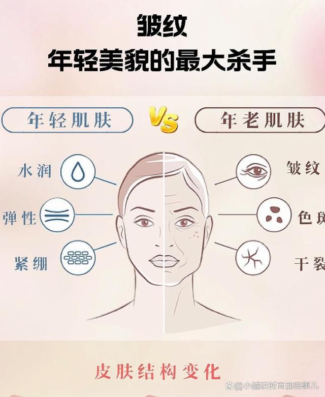 抗皱紧致护肤品哪种好