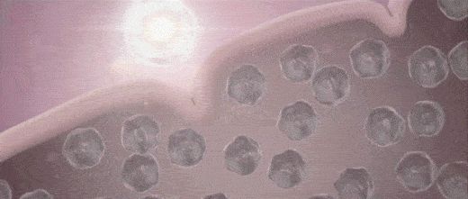 九游娱乐：2024摩洛哥AMWC国际盛会