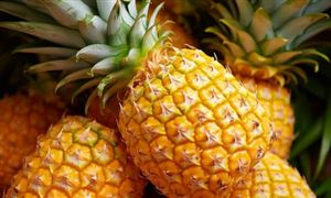 九游娱乐文化：2024美容仪器产业现状及市场规模分析(图3)