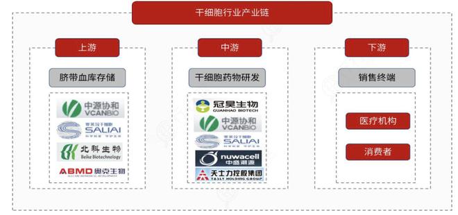 九游娱乐：干细胞全线提速！生物医学前沿核心赛道布局龙头厂商全梳理(图2)