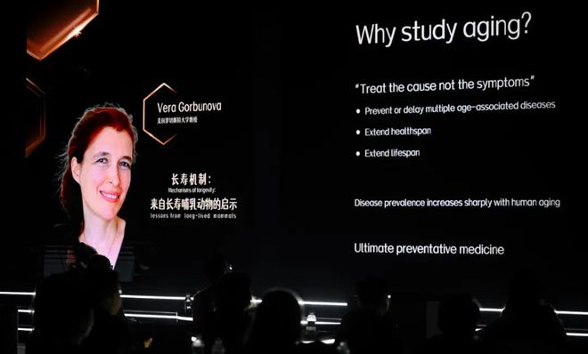 市场都在布局“口服抗衰美容”为何是SwissePLUS能率先跑出？(图8)