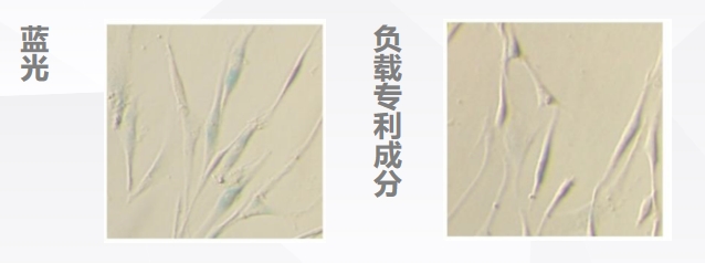 科技守护肌肤:华妍光钥抗蓝光专利筑起数字时代的护肤新防线(图3)