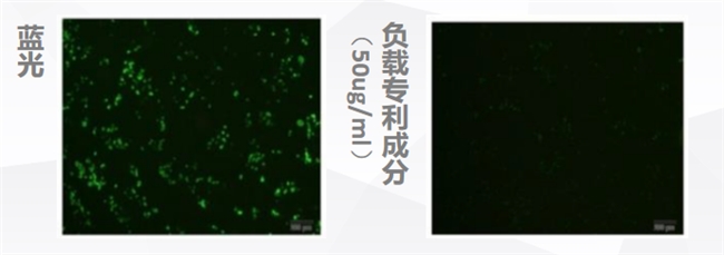 科技守护肌肤:华妍光钥抗蓝光专利筑起数字时代的护肤新防线(图4)
