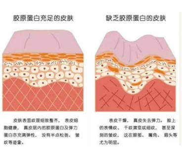 九游娱乐:火爆贵妇圈!细胞级抗老真能拿捏“青春密码”?