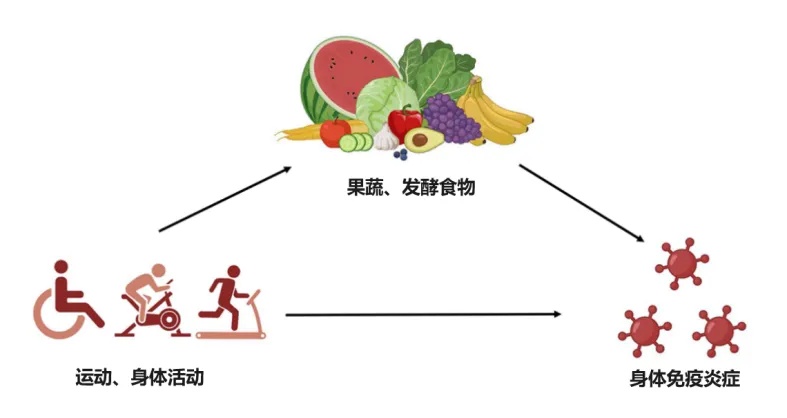 九游娱乐文化：全部导航(图3)