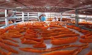 “颜值经济”作用下2024手持美容仪行业市场现状及前景预测(图6)