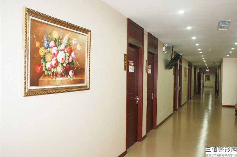 九游娱乐文化:抵抗衰老的秘诀衰老与抗(图3)