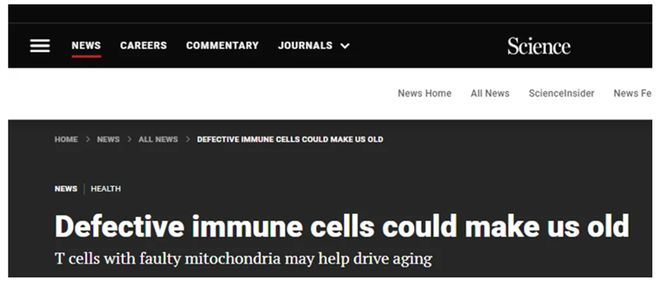 九游娱乐:盘点2024年干细胞和免疫细胞抗衰的关键文献!解锁年度网络流行语“银发力量”(图4)