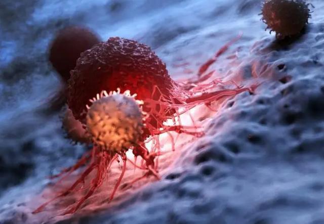 九游娱乐文化：日本研究称红薯能消灭98%癌细胞真相究竟如何？(图3)