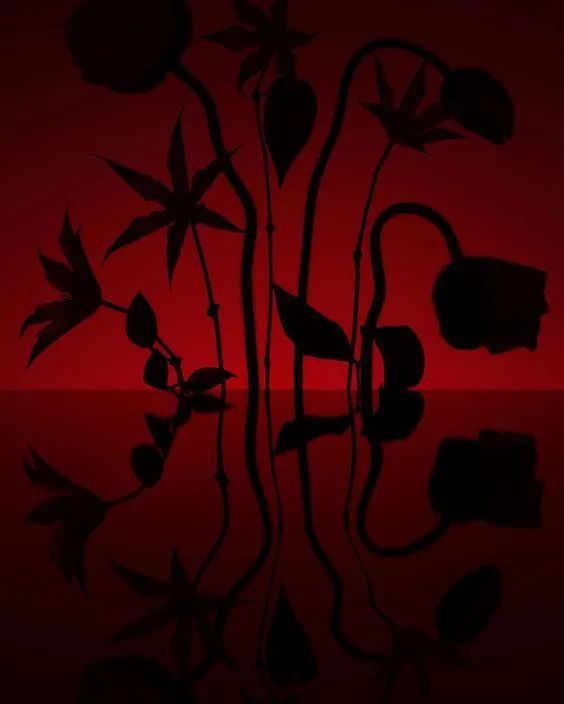 2024年国货美妆的热搜关键词是(图16)