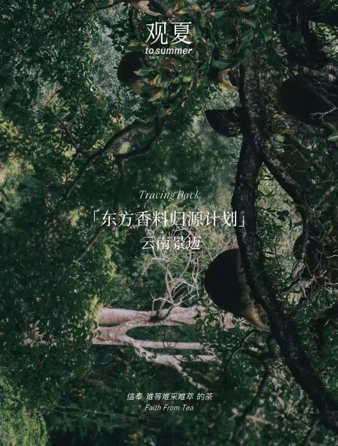 2024年国货美妆的热搜关键词是(图14)