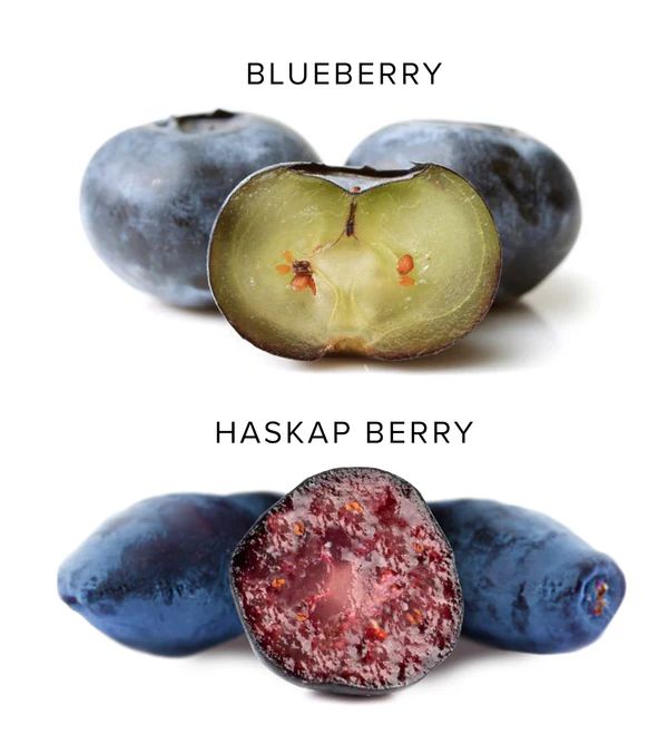 九游娱乐文化：击败蓝莓！农夫山泉押注的东北野果会是下一个顶流