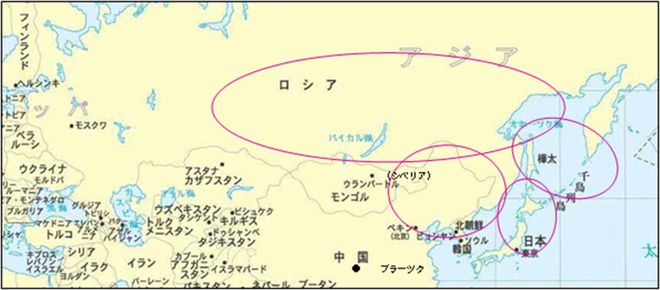 九游娱乐文化:击败蓝莓!农夫山泉押注的东北野果会是下一个顶流食材吗?(图3)