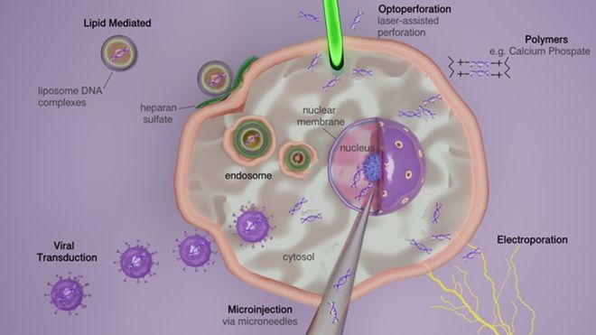 北京载愈纳米电穿孔美容仪、电转仪亮相医疗器械产业精准可控纳米