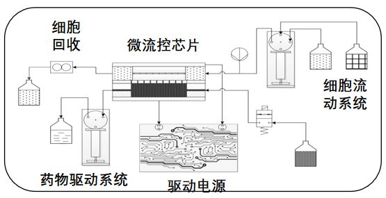 北京载愈纳米电穿孔美容仪、电转仪亮相医疗器械产业精准可控纳米电穿孔递送产品引领行业创新发展(图6)