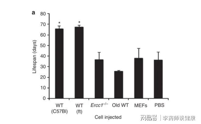人活1岁身体却老24年？Nature子刊：干细胞将打破“早衰魔咒”(图2)