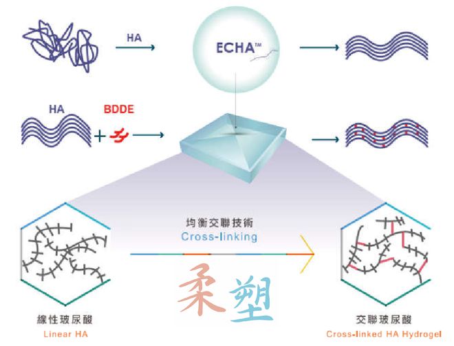 九游娱乐文化：芙媄靓玻尿酸品质+技术双重赋能打造个性化口周抗衰新标杆(图4)