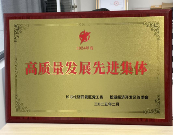 九游娱乐：世宇石膏荣膺2024年度高质量发展先进集体以创新与