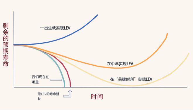 九游娱乐文化：全民120岁指日可待！日本科学家最新突破干细胞