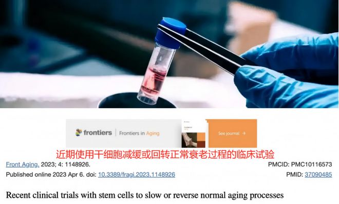 九游娱乐文化：全民120岁指日可待！日本科学家最新突破干细胞成抗衰最大黑马(图2)