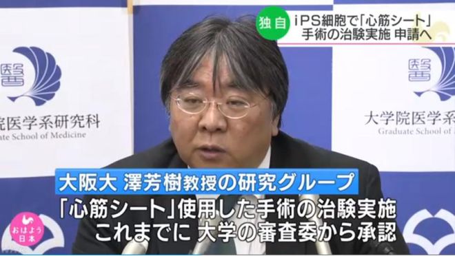 九游娱乐文化：全民120岁指日可待！日本科学家最新突破干细胞成抗衰最大黑马(图3)