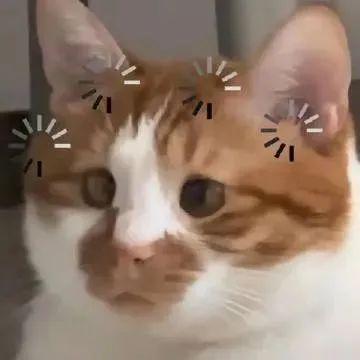 一掷千金抗老十余载最后只剩一场水花？丨抗衰大事记Vol1(图2)