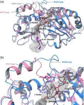 一掷千金抗老十余载最后只剩一场水花？丨抗衰大事记Vol1(图5)