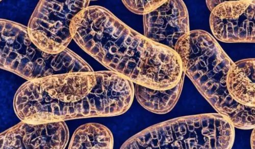 衰老我们能打破这个“自然定律”吗?(图2)