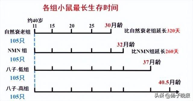 九游娱乐文化：不必羡慕硅谷富豪的“逆生长”！八子补肾为大众抗衰老提供新方案(图3)
