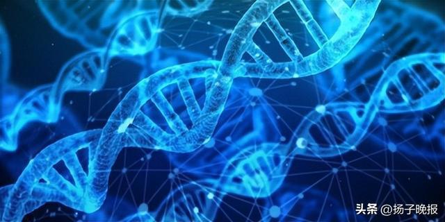 九游娱乐文化：不必羡慕硅谷富豪的“逆生长”！八子补肾为大众抗