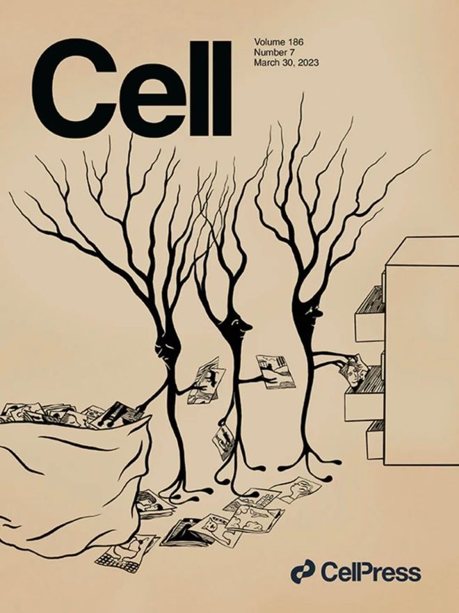 科研长期主义破局美妆内卷从全新「红腰子」看肌肤抗老赛道跃迁(图3)