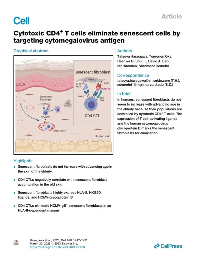 科研长期主义破局美妆内卷从全新「红腰子」看肌肤抗老赛道跃迁(图4)