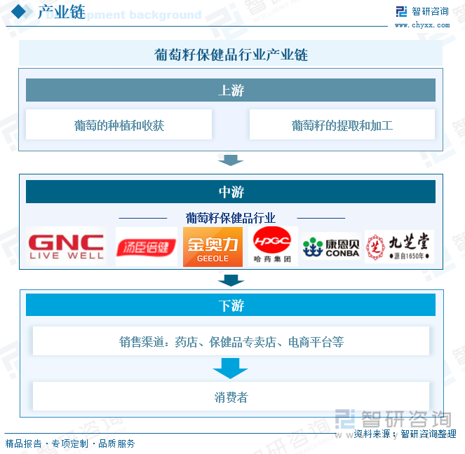 研判2025！中国葡萄籽保健品行业产业链图谱、市场现状及发展趋势分析：消费者需求升级葡萄籽保健品行业规模不断上涨[图](图4)