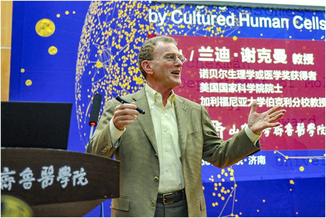 衰老被列为可治？剑桥科学家预言成真业内：线粒体是关键(图4)