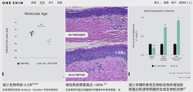 联合利华和KatyPerry都看好的“长寿肽”是啥？(图5)