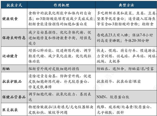 2024年抗衰行业研究：从衰老机制到市场趋势