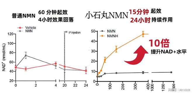 九游娱乐文化：日本抗衰老产品哪个牌子好？2025年代购清单必买的五大热门品牌产品(图2)