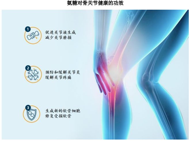 九游娱乐：HMB全球龙头技源集团：扎根运动健康赛道凭多元布局赢长远未来(图3)