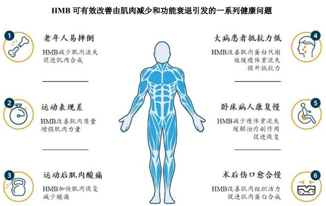 九游娱乐：HMB全球龙头技源集团：扎根运动健康赛道凭多元布局赢长远未来(图2)