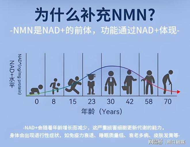 nmn哪个牌子好又安全？2025年最火日本nmn品牌排行榜出