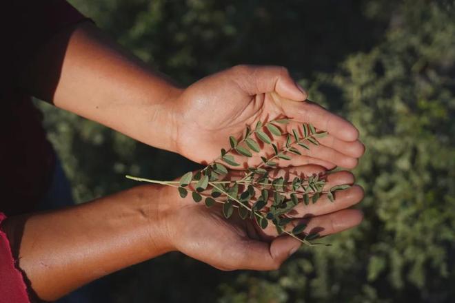谷雨正在下的是一盘更大的科研局