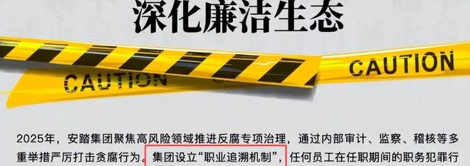 安踏严惩内鬼!74名员工被辞退46人送进去涉及3千万元(图2)