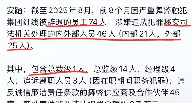安踏严惩内鬼!74名员工被辞退46人送进去涉及3千万元(图3)