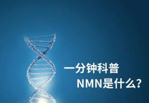买NMN怎么避坑？NMN产品大起底：2025年抗衰品牌深度测